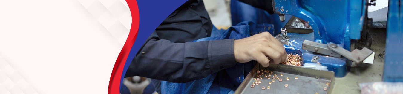 Emergency Credit Line Guarantee Scheme (ECLGS)