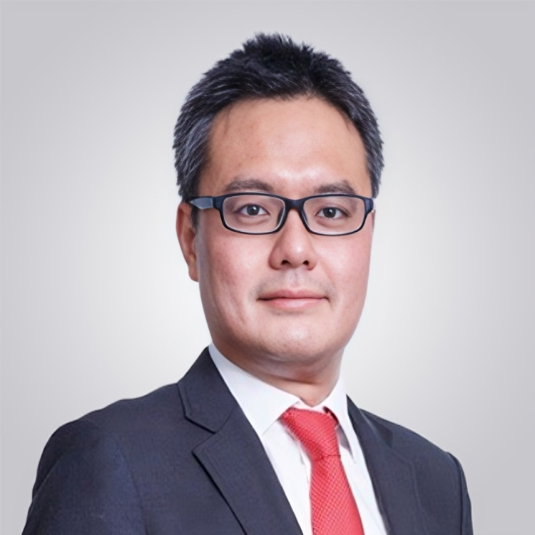 Mr. Elcid Vergara